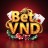 bet-vnd.net favicon